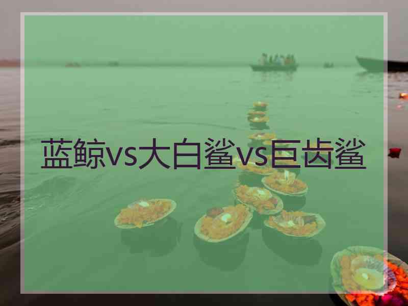 蓝鲸vs大白鲨vs巨齿鲨