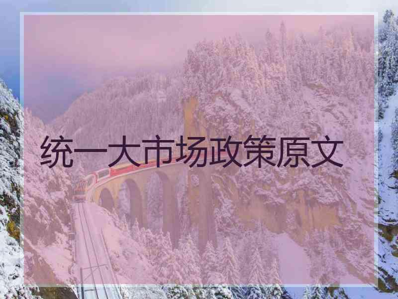 统一大市场政策原文