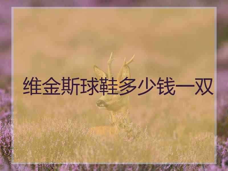 维金斯球鞋多少钱一双