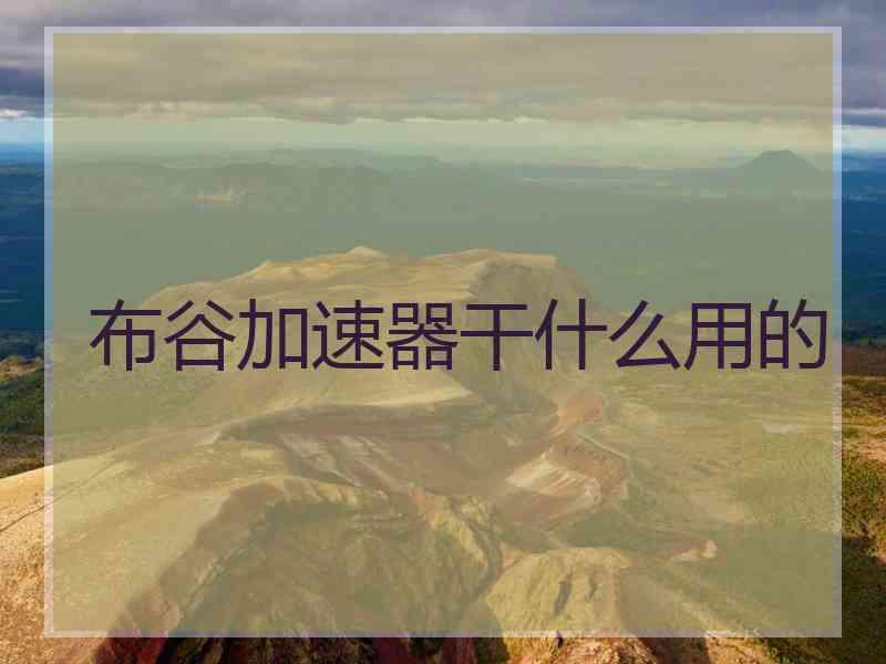 布谷加速器干什么用的