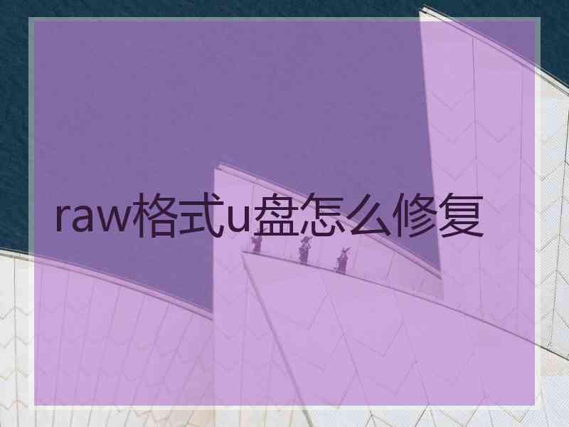 raw格式u盘怎么修复