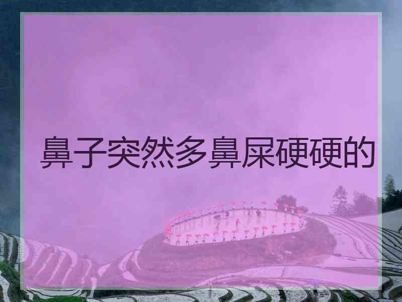 鼻子突然多鼻屎硬硬的