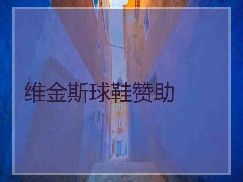 维金斯球鞋赞助