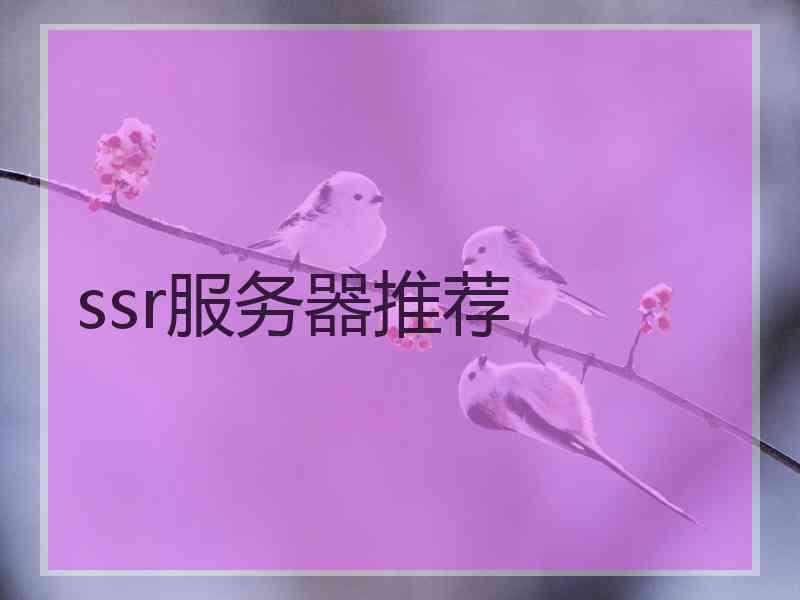 ssr服务器推荐