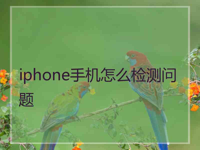 iphone手机怎么检测问题