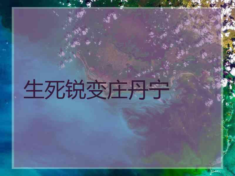 生死锐变庄丹宁