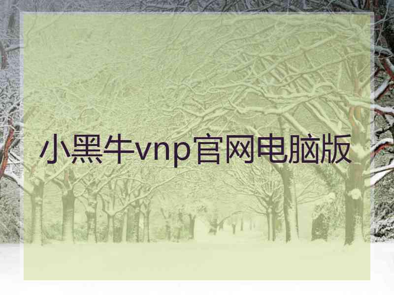小黑牛vnp官网电脑版