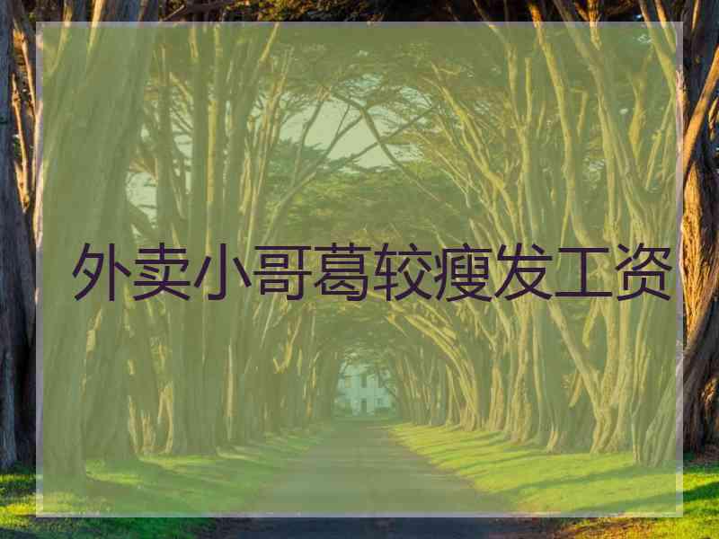 外卖小哥葛较瘦发工资