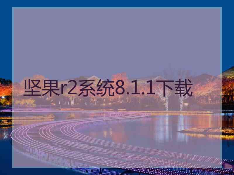 坚果r2系统8.1.1下载