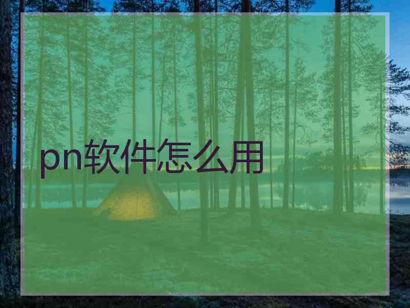 pn软件怎么用