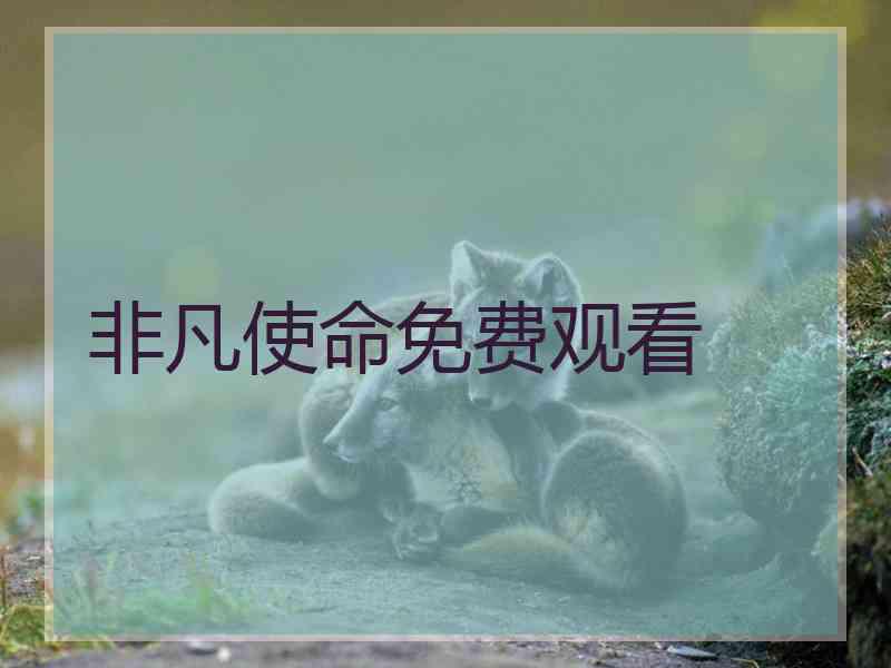 非凡使命免费观看
