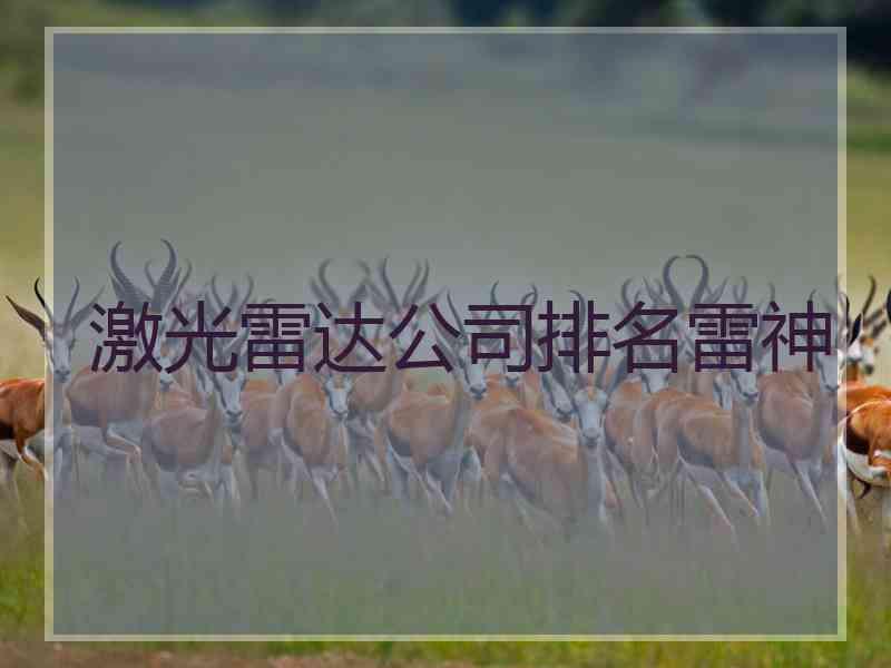 激光雷达公司排名雷神