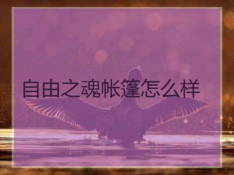 自由之魂帐篷怎么样