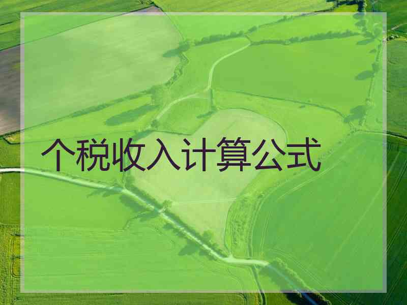 个税收入计算公式