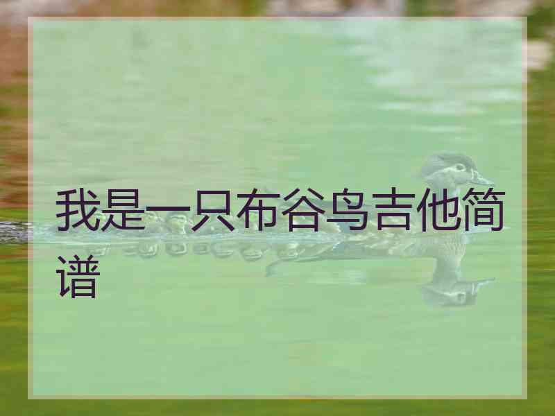 我是一只布谷鸟吉他简谱