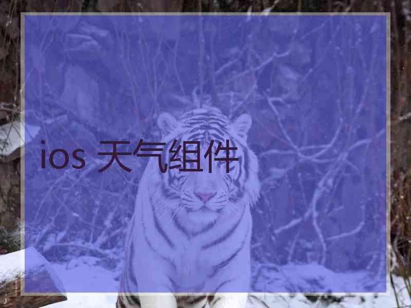 ios 天气组件