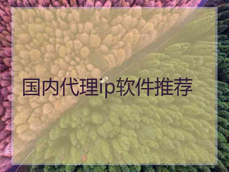 国内代理ip软件推荐