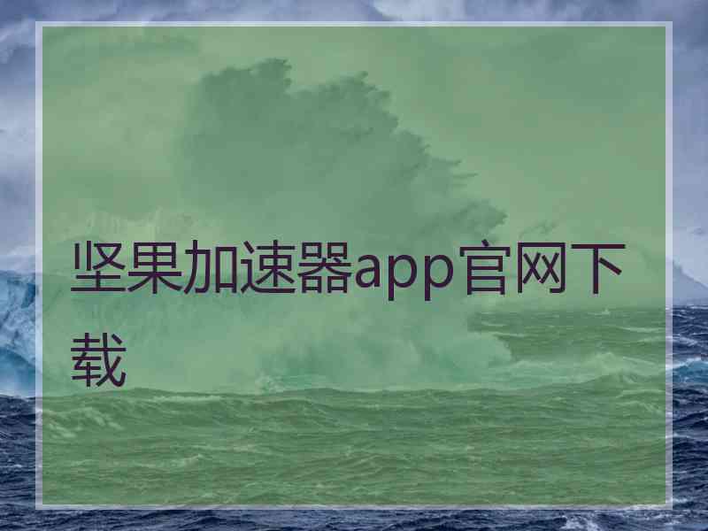坚果加速器app官网下载