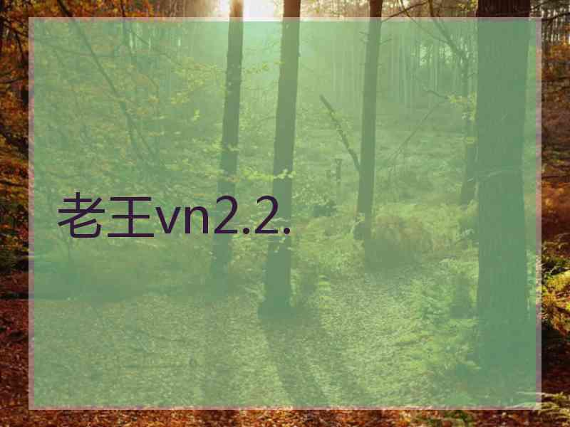 老王vn2.2.
