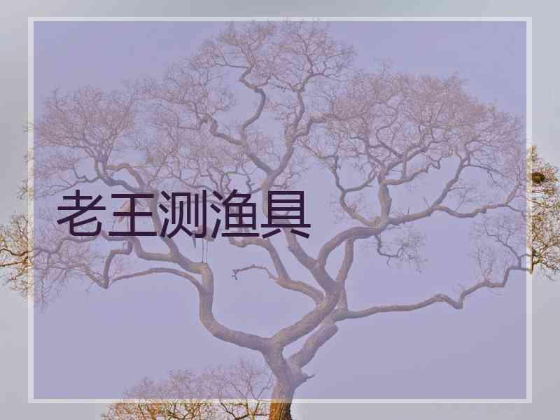 老王测渔具