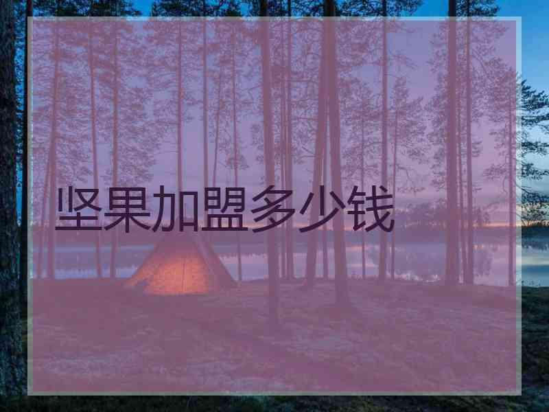 坚果加盟多少钱