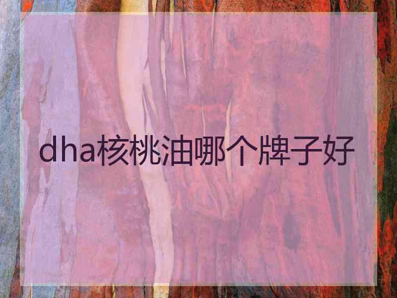 dha核桃油哪个牌子好
