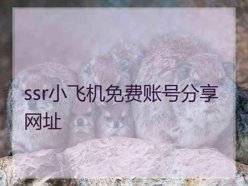 ssr小飞机免费账号分享网址