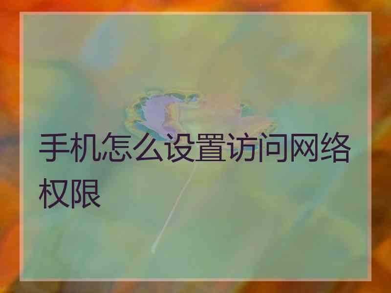 手机怎么设置访问网络权限