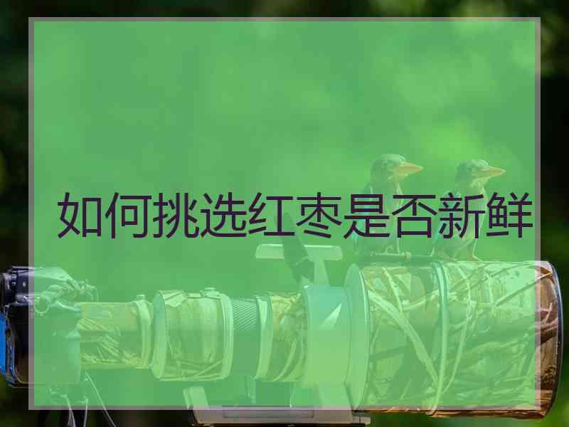 如何挑选红枣是否新鲜