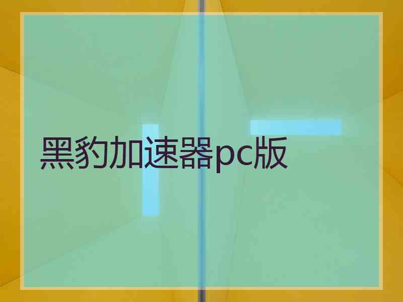 黑豹加速器pc版