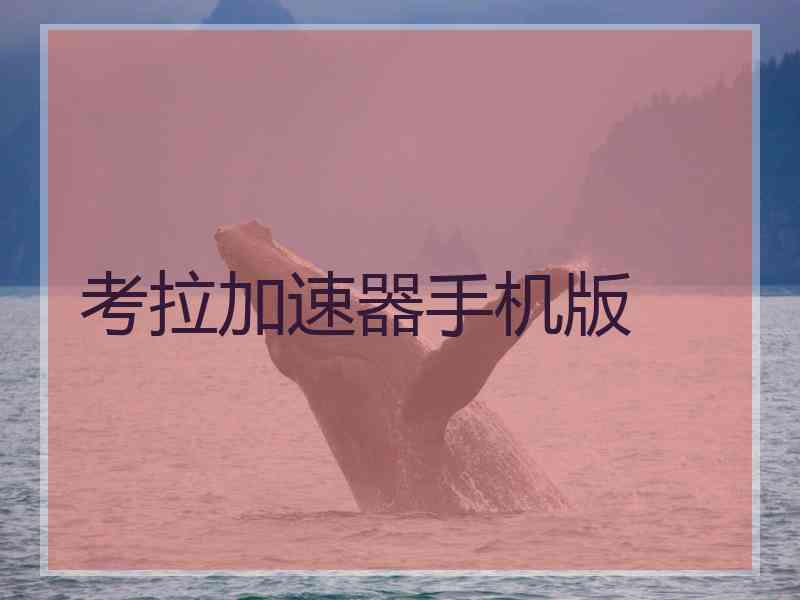 考拉加速器手机版