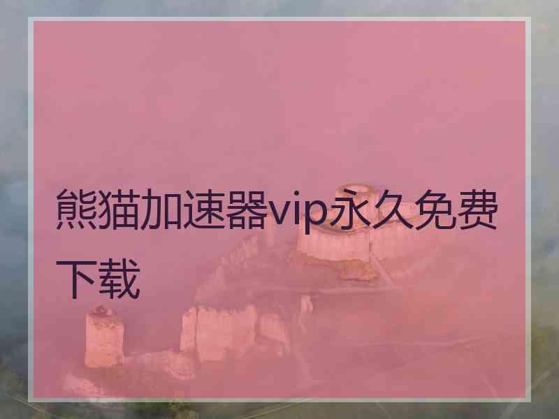 熊猫加速器vip永久免费下载