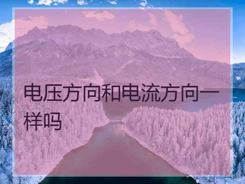电压方向和电流方向一样吗