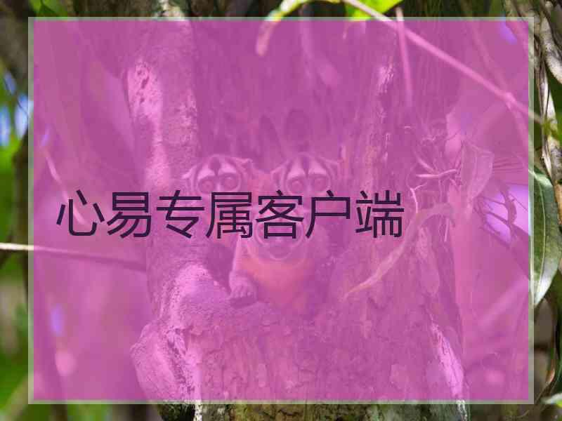 心易专属客户端