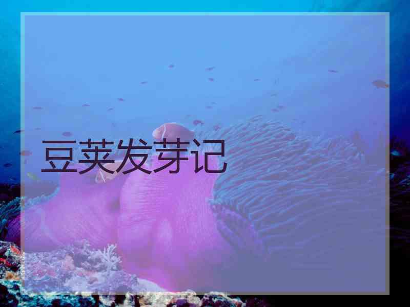 豆荚发芽记