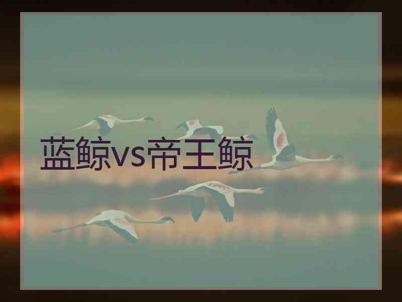 蓝鲸vs帝王鲸