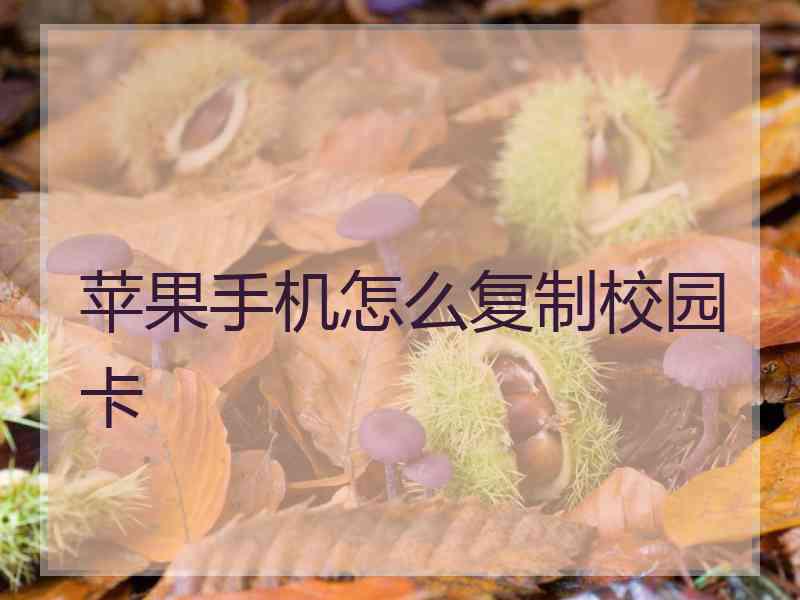 苹果手机怎么复制校园卡
