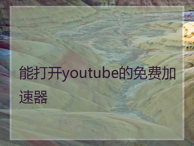 能打开youtube的免费加速器