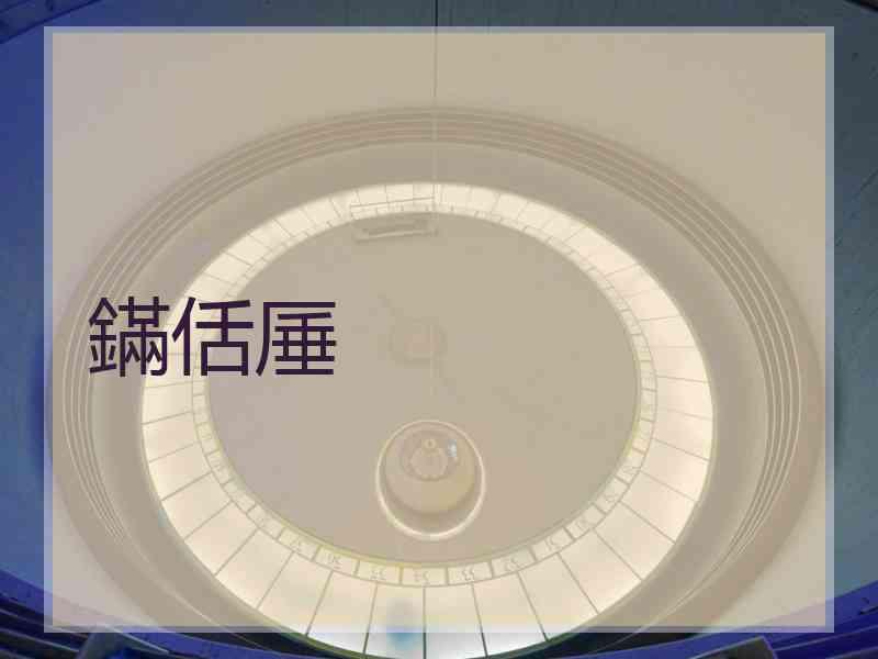 鏋佸厜