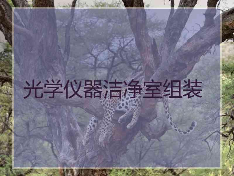 光学仪器洁净室组装