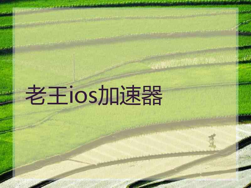 老王ios加速器