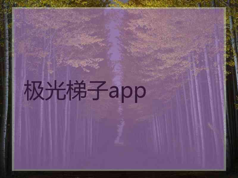 极光梯子app