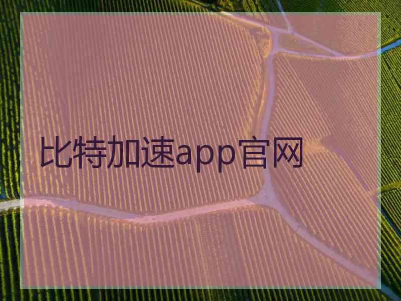 比特加速app官网