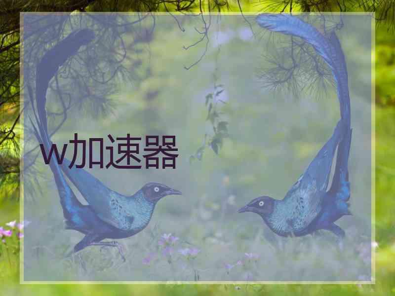 w加速器