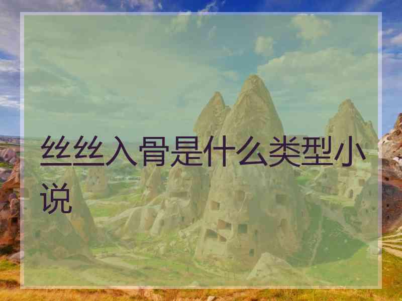 丝丝入骨是什么类型小说