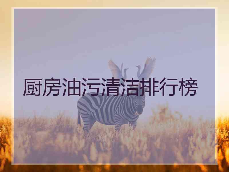 厨房油污清洁排行榜