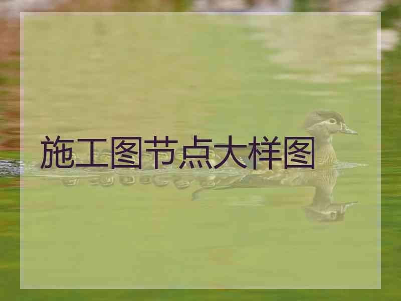 施工图节点大样图