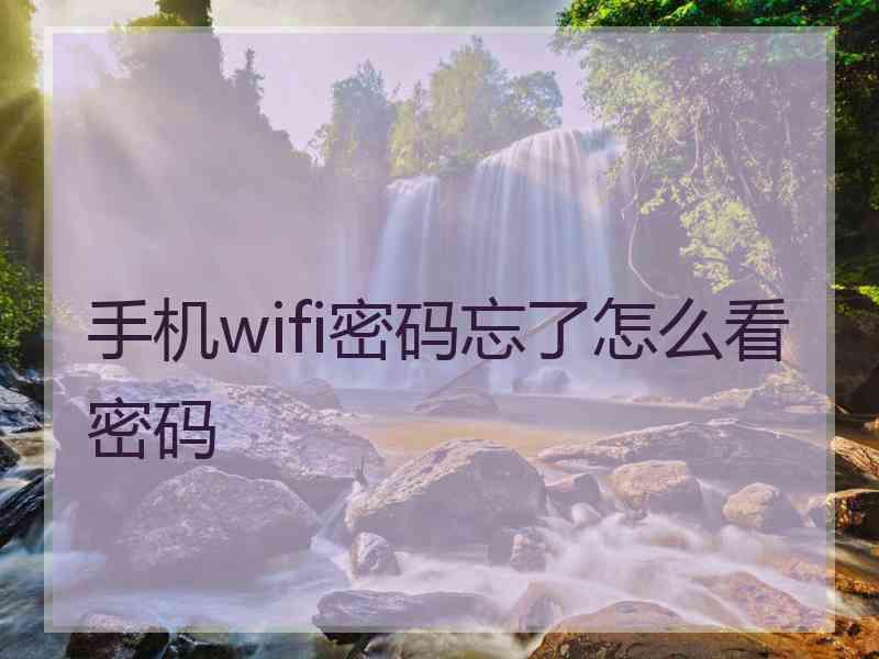 手机wifi密码忘了怎么看密码