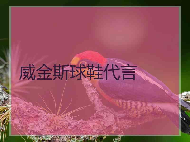 威金斯球鞋代言