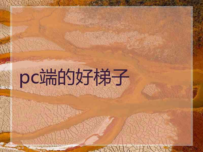 pc端的好梯子